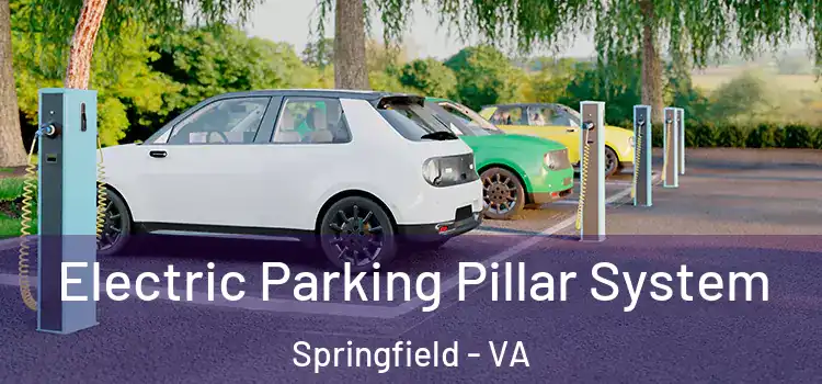 Electric Parking Pillar System Springfield - VA