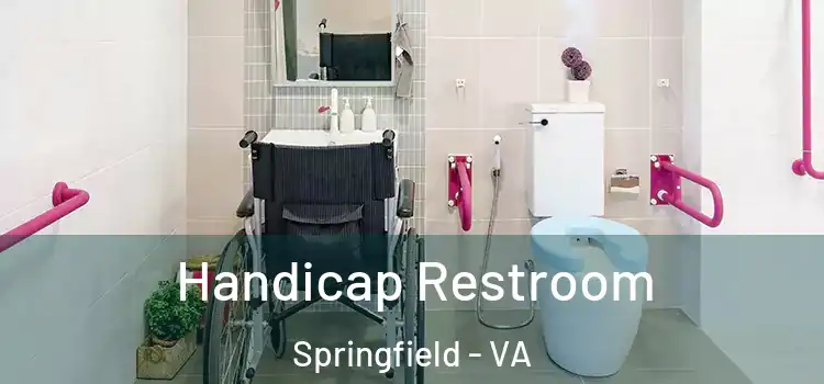 Handicap Restroom Springfield - VA