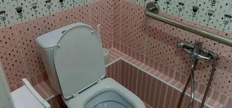 Meeting Diverse Needs With Accessible Restroom Solutions in Springfield, VA