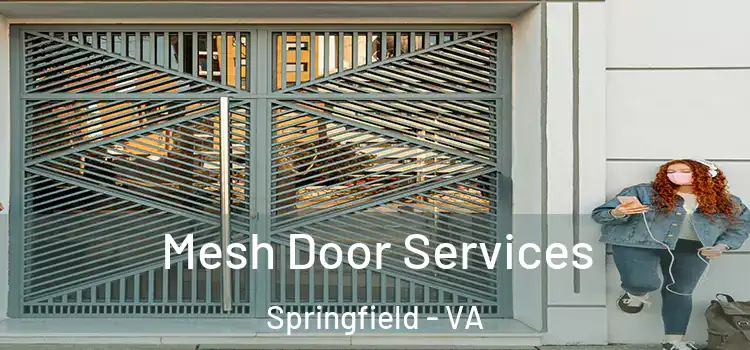 Mesh Door Services Springfield - VA
