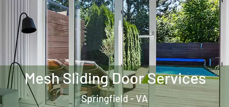Mesh Sliding Door Services Springfield - VA